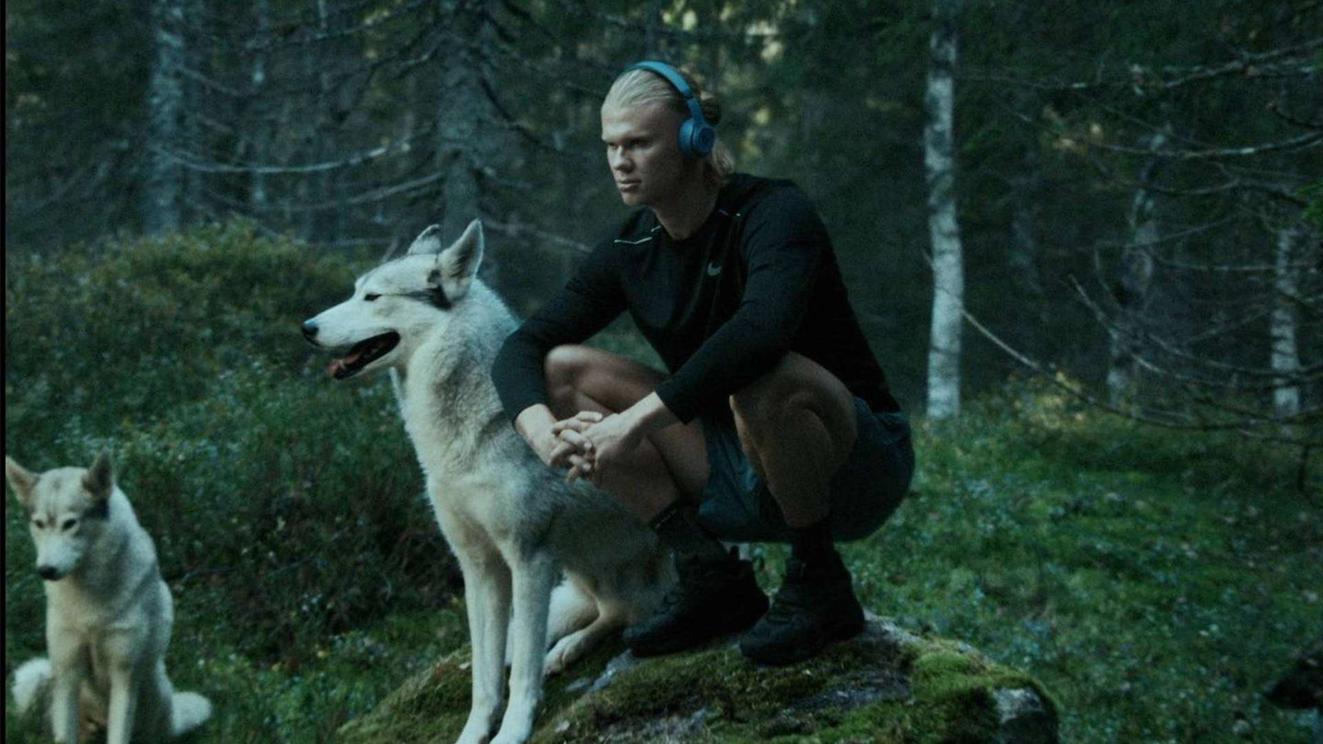 名位置的事 名位置的事