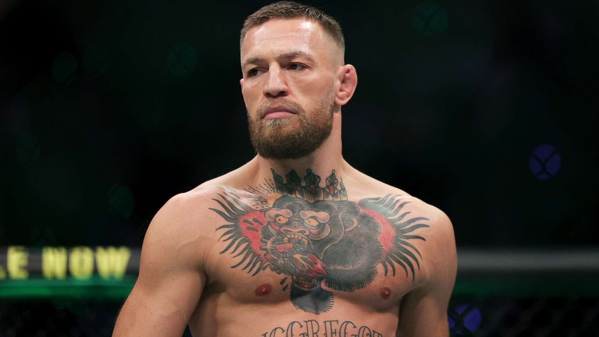 能的完美体 能的完美体