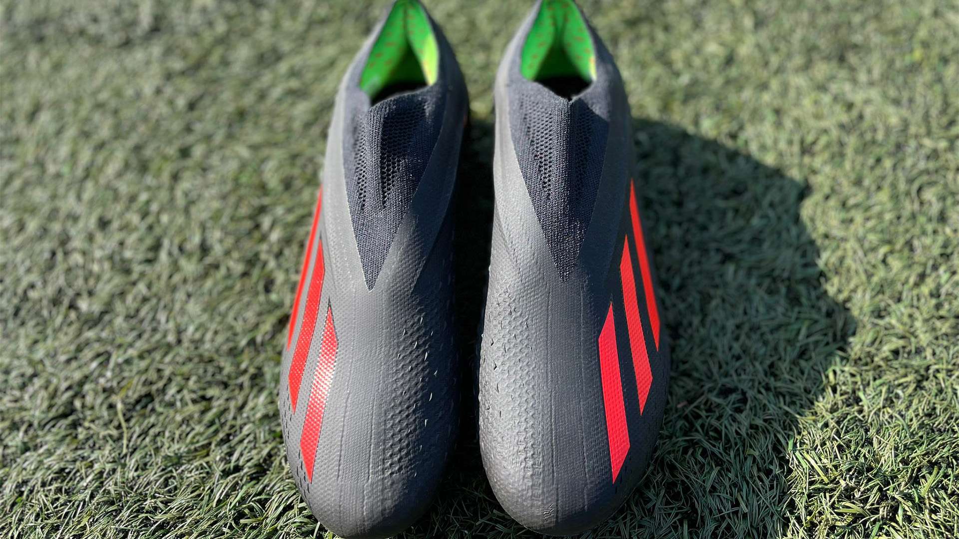 天津津门虎 天津津门虎